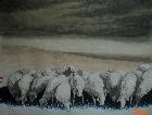 牧羊人8