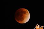摄影-美丽的红月亮